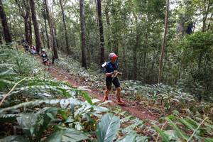 BIB: 
                            <button type="button" onclick="openModal(22564578)" class="btn btn-primary btn-sm float-right btn-popup" data-toggle="modal" data-target=".modal-high-quality">
                        <i class="fas fa-shopping-cart"></i> Add to Cart
                    </button>
                                            <button type="button" onclick="isThisMe(22564578, true)" class="btn btn-success btn-sm float-right btn-popup btn-isme hidden" data-toggle="tooltip" data-placement="bottom" title="นี่คือรูปของคุณใช่ไหม คลิกที่นี่เพื่อเอาเข้าอัลบั้ม">
                        <i class="fas fa-plus"></i> Add to album
                    </button>
                    <button type="button" onclick="isThisMe(22564578, false)" class="btn btn-warning btn-sm float-right btn-popup btn-isnotme hidden">
                        <i class="fas fa-ban"></i> Remove from album
                    </button>