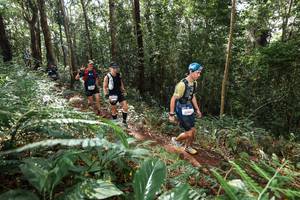 BIB: 
                            <button type="button" onclick="openModal(22547530)" class="btn btn-primary btn-sm float-right btn-popup" data-toggle="modal" data-target=".modal-high-quality">
                        <i class="fas fa-shopping-cart"></i> Add to Cart
                    </button>
                                            <button type="button" onclick="isThisMe(22547530, true)" class="btn btn-success btn-sm float-right btn-popup btn-isme hidden" data-toggle="tooltip" data-placement="bottom" title="นี่คือรูปของคุณใช่ไหม คลิกที่นี่เพื่อเอาเข้าอัลบั้ม">
                        <i class="fas fa-plus"></i> Add to album
                    </button>
                    <button type="button" onclick="isThisMe(22547530, false)" class="btn btn-warning btn-sm float-right btn-popup btn-isnotme hidden">
                        <i class="fas fa-ban"></i> Remove from album
                    </button>