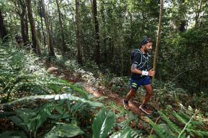 BIB: 
                            <button type="button" onclick="openModal(22547140)" class="btn btn-primary btn-sm float-right btn-popup" data-toggle="modal" data-target=".modal-high-quality">
                        <i class="fas fa-shopping-cart"></i> Add to Cart
                    </button>
                                            <button type="button" onclick="isThisMe(22547140, true)" class="btn btn-success btn-sm float-right btn-popup btn-isme hidden" data-toggle="tooltip" data-placement="bottom" title="นี่คือรูปของคุณใช่ไหม คลิกที่นี่เพื่อเอาเข้าอัลบั้ม">
                        <i class="fas fa-plus"></i> Add to album
                    </button>
                    <button type="button" onclick="isThisMe(22547140, false)" class="btn btn-warning btn-sm float-right btn-popup btn-isnotme hidden">
                        <i class="fas fa-ban"></i> Remove from album
                    </button>