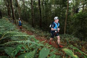 BIB: 
                            <button type="button" onclick="openModal(22533452)" class="btn btn-primary btn-sm float-right btn-popup" data-toggle="modal" data-target=".modal-high-quality">
                        <i class="fas fa-shopping-cart"></i> Add to Cart
                    </button>
                                            <button type="button" onclick="isThisMe(22533452, true)" class="btn btn-success btn-sm float-right btn-popup btn-isme hidden" data-toggle="tooltip" data-placement="bottom" title="นี่คือรูปของคุณใช่ไหม คลิกที่นี่เพื่อเอาเข้าอัลบั้ม">
                        <i class="fas fa-plus"></i> Add to album
                    </button>
                    <button type="button" onclick="isThisMe(22533452, false)" class="btn btn-warning btn-sm float-right btn-popup btn-isnotme hidden">
                        <i class="fas fa-ban"></i> Remove from album
                    </button>