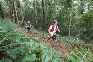 BIB: 
                            <button type="button" onclick="openModal(22580488)" class="btn btn-primary btn-sm float-right btn-popup" data-toggle="modal" data-target=".modal-high-quality">
                        <i class="fas fa-shopping-cart"></i> Add to Cart
                    </button>
                                            <button type="button" onclick="isThisMe(22580488, true)" class="btn btn-success btn-sm float-right btn-popup btn-isme hidden" data-toggle="tooltip" data-placement="bottom" title="นี่คือรูปของคุณใช่ไหม คลิกที่นี่เพื่อเอาเข้าอัลบั้ม">
                        <i class="fas fa-plus"></i> Add to album
                    </button>
                    <button type="button" onclick="isThisMe(22580488, false)" class="btn btn-warning btn-sm float-right btn-popup btn-isnotme hidden">
                        <i class="fas fa-ban"></i> Remove from album
                    </button>