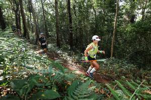 BIB: 
                            <button type="button" onclick="openModal(22546503)" class="btn btn-primary btn-sm float-right btn-popup" data-toggle="modal" data-target=".modal-high-quality">
                        <i class="fas fa-shopping-cart"></i> Add to Cart
                    </button>
                                            <button type="button" onclick="isThisMe(22546503, true)" class="btn btn-success btn-sm float-right btn-popup btn-isme hidden" data-toggle="tooltip" data-placement="bottom" title="นี่คือรูปของคุณใช่ไหม คลิกที่นี่เพื่อเอาเข้าอัลบั้ม">
                        <i class="fas fa-plus"></i> Add to album
                    </button>
                    <button type="button" onclick="isThisMe(22546503, false)" class="btn btn-warning btn-sm float-right btn-popup btn-isnotme hidden">
                        <i class="fas fa-ban"></i> Remove from album
                    </button>