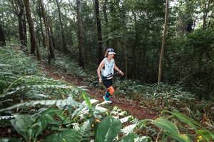 BIB: 
                            <button type="button" onclick="openModal(22543360)" class="btn btn-primary btn-sm float-right btn-popup" data-toggle="modal" data-target=".modal-high-quality">
                        <i class="fas fa-shopping-cart"></i> Add to Cart
                    </button>
                                            <button type="button" onclick="isThisMe(22543360, true)" class="btn btn-success btn-sm float-right btn-popup btn-isme hidden" data-toggle="tooltip" data-placement="bottom" title="นี่คือรูปของคุณใช่ไหม คลิกที่นี่เพื่อเอาเข้าอัลบั้ม">
                        <i class="fas fa-plus"></i> Add to album
                    </button>
                    <button type="button" onclick="isThisMe(22543360, false)" class="btn btn-warning btn-sm float-right btn-popup btn-isnotme hidden">
                        <i class="fas fa-ban"></i> Remove from album
                    </button>