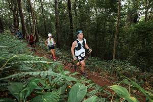 BIB: 
                            <button type="button" onclick="openModal(22537133)" class="btn btn-primary btn-sm float-right btn-popup" data-toggle="modal" data-target=".modal-high-quality">
                        <i class="fas fa-shopping-cart"></i> Add to Cart
                    </button>
                                            <button type="button" onclick="isThisMe(22537133, true)" class="btn btn-success btn-sm float-right btn-popup btn-isme hidden" data-toggle="tooltip" data-placement="bottom" title="นี่คือรูปของคุณใช่ไหม คลิกที่นี่เพื่อเอาเข้าอัลบั้ม">
                        <i class="fas fa-plus"></i> Add to album
                    </button>
                    <button type="button" onclick="isThisMe(22537133, false)" class="btn btn-warning btn-sm float-right btn-popup btn-isnotme hidden">
                        <i class="fas fa-ban"></i> Remove from album
                    </button>