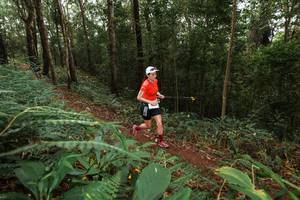 BIB: 
                            <button type="button" onclick="openModal(22534313)" class="btn btn-primary btn-sm float-right btn-popup" data-toggle="modal" data-target=".modal-high-quality">
                        <i class="fas fa-shopping-cart"></i> Add to Cart
                    </button>
                                            <button type="button" onclick="isThisMe(22534313, true)" class="btn btn-success btn-sm float-right btn-popup btn-isme hidden" data-toggle="tooltip" data-placement="bottom" title="นี่คือรูปของคุณใช่ไหม คลิกที่นี่เพื่อเอาเข้าอัลบั้ม">
                        <i class="fas fa-plus"></i> Add to album
                    </button>
                    <button type="button" onclick="isThisMe(22534313, false)" class="btn btn-warning btn-sm float-right btn-popup btn-isnotme hidden">
                        <i class="fas fa-ban"></i> Remove from album
                    </button>