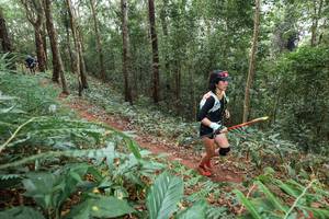 BIB: 
                            <button type="button" onclick="openModal(22581874)" class="btn btn-primary btn-sm float-right btn-popup" data-toggle="modal" data-target=".modal-high-quality">
                        <i class="fas fa-shopping-cart"></i> Add to Cart
                    </button>
                                            <button type="button" onclick="isThisMe(22581874, true)" class="btn btn-success btn-sm float-right btn-popup btn-isme hidden" data-toggle="tooltip" data-placement="bottom" title="นี่คือรูปของคุณใช่ไหม คลิกที่นี่เพื่อเอาเข้าอัลบั้ม">
                        <i class="fas fa-plus"></i> Add to album
                    </button>
                    <button type="button" onclick="isThisMe(22581874, false)" class="btn btn-warning btn-sm float-right btn-popup btn-isnotme hidden">
                        <i class="fas fa-ban"></i> Remove from album
                    </button>