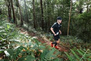 BIB: 
                            <button type="button" onclick="openModal(22545462)" class="btn btn-primary btn-sm float-right btn-popup" data-toggle="modal" data-target=".modal-high-quality">
                        <i class="fas fa-shopping-cart"></i> Add to Cart
                    </button>
                                            <button type="button" onclick="isThisMe(22545462, true)" class="btn btn-success btn-sm float-right btn-popup btn-isme hidden" data-toggle="tooltip" data-placement="bottom" title="นี่คือรูปของคุณใช่ไหม คลิกที่นี่เพื่อเอาเข้าอัลบั้ม">
                        <i class="fas fa-plus"></i> Add to album
                    </button>
                    <button type="button" onclick="isThisMe(22545462, false)" class="btn btn-warning btn-sm float-right btn-popup btn-isnotme hidden">
                        <i class="fas fa-ban"></i> Remove from album
                    </button>