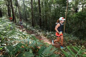 BIB: 
                            <button type="button" onclick="openModal(22545905)" class="btn btn-primary btn-sm float-right btn-popup" data-toggle="modal" data-target=".modal-high-quality">
                        <i class="fas fa-shopping-cart"></i> Add to Cart
                    </button>
                                            <button type="button" onclick="isThisMe(22545905, true)" class="btn btn-success btn-sm float-right btn-popup btn-isme hidden" data-toggle="tooltip" data-placement="bottom" title="นี่คือรูปของคุณใช่ไหม คลิกที่นี่เพื่อเอาเข้าอัลบั้ม">
                        <i class="fas fa-plus"></i> Add to album
                    </button>
                    <button type="button" onclick="isThisMe(22545905, false)" class="btn btn-warning btn-sm float-right btn-popup btn-isnotme hidden">
                        <i class="fas fa-ban"></i> Remove from album
                    </button>