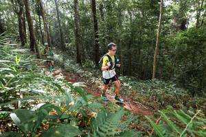 BIB: 
                            <button type="button" onclick="openModal(22545584)" class="btn btn-primary btn-sm float-right btn-popup" data-toggle="modal" data-target=".modal-high-quality">
                        <i class="fas fa-shopping-cart"></i> Add to Cart
                    </button>
                                            <button type="button" onclick="isThisMe(22545584, true)" class="btn btn-success btn-sm float-right btn-popup btn-isme hidden" data-toggle="tooltip" data-placement="bottom" title="นี่คือรูปของคุณใช่ไหม คลิกที่นี่เพื่อเอาเข้าอัลบั้ม">
                        <i class="fas fa-plus"></i> Add to album
                    </button>
                    <button type="button" onclick="isThisMe(22545584, false)" class="btn btn-warning btn-sm float-right btn-popup btn-isnotme hidden">
                        <i class="fas fa-ban"></i> Remove from album
                    </button>