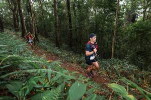 BIB: 
                            <button type="button" onclick="openModal(22532906)" class="btn btn-primary btn-sm float-right btn-popup" data-toggle="modal" data-target=".modal-high-quality">
                        <i class="fas fa-shopping-cart"></i> Add to Cart
                    </button>
                                            <button type="button" onclick="isThisMe(22532906, true)" class="btn btn-success btn-sm float-right btn-popup btn-isme hidden" data-toggle="tooltip" data-placement="bottom" title="นี่คือรูปของคุณใช่ไหม คลิกที่นี่เพื่อเอาเข้าอัลบั้ม">
                        <i class="fas fa-plus"></i> Add to album
                    </button>
                    <button type="button" onclick="isThisMe(22532906, false)" class="btn btn-warning btn-sm float-right btn-popup btn-isnotme hidden">
                        <i class="fas fa-ban"></i> Remove from album
                    </button>