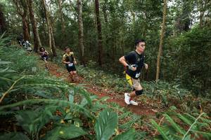 BIB: 
                            <button type="button" onclick="openModal(22571055)" class="btn btn-primary btn-sm float-right btn-popup" data-toggle="modal" data-target=".modal-high-quality">
                        <i class="fas fa-shopping-cart"></i> Add to Cart
                    </button>
                                            <button type="button" onclick="isThisMe(22571055, true)" class="btn btn-success btn-sm float-right btn-popup btn-isme hidden" data-toggle="tooltip" data-placement="bottom" title="นี่คือรูปของคุณใช่ไหม คลิกที่นี่เพื่อเอาเข้าอัลบั้ม">
                        <i class="fas fa-plus"></i> Add to album
                    </button>
                    <button type="button" onclick="isThisMe(22571055, false)" class="btn btn-warning btn-sm float-right btn-popup btn-isnotme hidden">
                        <i class="fas fa-ban"></i> Remove from album
                    </button>