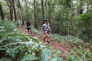 BIB: 
                            <button type="button" onclick="openModal(22566979)" class="btn btn-primary btn-sm float-right btn-popup" data-toggle="modal" data-target=".modal-high-quality">
                        <i class="fas fa-shopping-cart"></i> Add to Cart
                    </button>
                                            <button type="button" onclick="isThisMe(22566979, true)" class="btn btn-success btn-sm float-right btn-popup btn-isme hidden" data-toggle="tooltip" data-placement="bottom" title="นี่คือรูปของคุณใช่ไหม คลิกที่นี่เพื่อเอาเข้าอัลบั้ม">
                        <i class="fas fa-plus"></i> Add to album
                    </button>
                    <button type="button" onclick="isThisMe(22566979, false)" class="btn btn-warning btn-sm float-right btn-popup btn-isnotme hidden">
                        <i class="fas fa-ban"></i> Remove from album
                    </button>