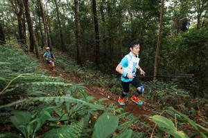 BIB: 
                            <button type="button" onclick="openModal(22535227)" class="btn btn-primary btn-sm float-right btn-popup" data-toggle="modal" data-target=".modal-high-quality">
                        <i class="fas fa-shopping-cart"></i> Add to Cart
                    </button>
                                            <button type="button" onclick="isThisMe(22535227, true)" class="btn btn-success btn-sm float-right btn-popup btn-isme hidden" data-toggle="tooltip" data-placement="bottom" title="นี่คือรูปของคุณใช่ไหม คลิกที่นี่เพื่อเอาเข้าอัลบั้ม">
                        <i class="fas fa-plus"></i> Add to album
                    </button>
                    <button type="button" onclick="isThisMe(22535227, false)" class="btn btn-warning btn-sm float-right btn-popup btn-isnotme hidden">
                        <i class="fas fa-ban"></i> Remove from album
                    </button>