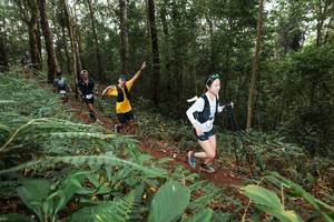 BIB: 
                            <button type="button" onclick="openModal(22535433)" class="btn btn-primary btn-sm float-right btn-popup" data-toggle="modal" data-target=".modal-high-quality">
                        <i class="fas fa-shopping-cart"></i> Add to Cart
                    </button>
                                            <button type="button" onclick="isThisMe(22535433, true)" class="btn btn-success btn-sm float-right btn-popup btn-isme hidden" data-toggle="tooltip" data-placement="bottom" title="นี่คือรูปของคุณใช่ไหม คลิกที่นี่เพื่อเอาเข้าอัลบั้ม">
                        <i class="fas fa-plus"></i> Add to album
                    </button>
                    <button type="button" onclick="isThisMe(22535433, false)" class="btn btn-warning btn-sm float-right btn-popup btn-isnotme hidden">
                        <i class="fas fa-ban"></i> Remove from album
                    </button>