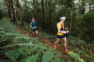 BIB: 
                            <button type="button" onclick="openModal(22534173)" class="btn btn-primary btn-sm float-right btn-popup" data-toggle="modal" data-target=".modal-high-quality">
                        <i class="fas fa-shopping-cart"></i> Add to Cart
                    </button>
                                            <button type="button" onclick="isThisMe(22534173, true)" class="btn btn-success btn-sm float-right btn-popup btn-isme hidden" data-toggle="tooltip" data-placement="bottom" title="นี่คือรูปของคุณใช่ไหม คลิกที่นี่เพื่อเอาเข้าอัลบั้ม">
                        <i class="fas fa-plus"></i> Add to album
                    </button>
                    <button type="button" onclick="isThisMe(22534173, false)" class="btn btn-warning btn-sm float-right btn-popup btn-isnotme hidden">
                        <i class="fas fa-ban"></i> Remove from album
                    </button>