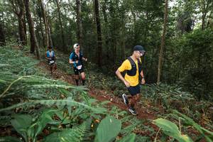 BIB: 
                            <button type="button" onclick="openModal(22535471)" class="btn btn-primary btn-sm float-right btn-popup" data-toggle="modal" data-target=".modal-high-quality">
                        <i class="fas fa-shopping-cart"></i> Add to Cart
                    </button>
                                            <button type="button" onclick="isThisMe(22535471, true)" class="btn btn-success btn-sm float-right btn-popup btn-isme hidden" data-toggle="tooltip" data-placement="bottom" title="นี่คือรูปของคุณใช่ไหม คลิกที่นี่เพื่อเอาเข้าอัลบั้ม">
                        <i class="fas fa-plus"></i> Add to album
                    </button>
                    <button type="button" onclick="isThisMe(22535471, false)" class="btn btn-warning btn-sm float-right btn-popup btn-isnotme hidden">
                        <i class="fas fa-ban"></i> Remove from album
                    </button>