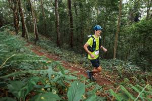 BIB: 
                            <button type="button" onclick="openModal(22584786)" class="btn btn-primary btn-sm float-right btn-popup" data-toggle="modal" data-target=".modal-high-quality">
                        <i class="fas fa-shopping-cart"></i> Add to Cart
                    </button>
                                            <button type="button" onclick="isThisMe(22584786, true)" class="btn btn-success btn-sm float-right btn-popup btn-isme hidden" data-toggle="tooltip" data-placement="bottom" title="นี่คือรูปของคุณใช่ไหม คลิกที่นี่เพื่อเอาเข้าอัลบั้ม">
                        <i class="fas fa-plus"></i> Add to album
                    </button>
                    <button type="button" onclick="isThisMe(22584786, false)" class="btn btn-warning btn-sm float-right btn-popup btn-isnotme hidden">
                        <i class="fas fa-ban"></i> Remove from album
                    </button>