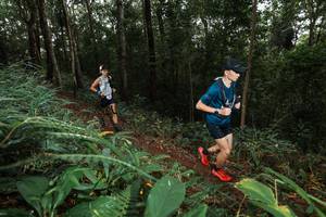 BIB: 
                            <button type="button" onclick="openModal(22538158)" class="btn btn-primary btn-sm float-right btn-popup" data-toggle="modal" data-target=".modal-high-quality">
                        <i class="fas fa-shopping-cart"></i> Add to Cart
                    </button>
                                            <button type="button" onclick="isThisMe(22538158, true)" class="btn btn-success btn-sm float-right btn-popup btn-isme hidden" data-toggle="tooltip" data-placement="bottom" title="นี่คือรูปของคุณใช่ไหม คลิกที่นี่เพื่อเอาเข้าอัลบั้ม">
                        <i class="fas fa-plus"></i> Add to album
                    </button>
                    <button type="button" onclick="isThisMe(22538158, false)" class="btn btn-warning btn-sm float-right btn-popup btn-isnotme hidden">
                        <i class="fas fa-ban"></i> Remove from album
                    </button>