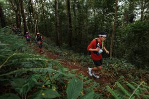 BIB: 
                            <button type="button" onclick="openModal(22582378)" class="btn btn-primary btn-sm float-right btn-popup" data-toggle="modal" data-target=".modal-high-quality">
                        <i class="fas fa-shopping-cart"></i> Add to Cart
                    </button>
                                            <button type="button" onclick="isThisMe(22582378, true)" class="btn btn-success btn-sm float-right btn-popup btn-isme hidden" data-toggle="tooltip" data-placement="bottom" title="นี่คือรูปของคุณใช่ไหม คลิกที่นี่เพื่อเอาเข้าอัลบั้ม">
                        <i class="fas fa-plus"></i> Add to album
                    </button>
                    <button type="button" onclick="isThisMe(22582378, false)" class="btn btn-warning btn-sm float-right btn-popup btn-isnotme hidden">
                        <i class="fas fa-ban"></i> Remove from album
                    </button>