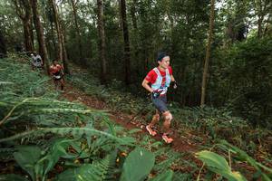 BIB: 
                            <button type="button" onclick="openModal(22533984)" class="btn btn-primary btn-sm float-right btn-popup" data-toggle="modal" data-target=".modal-high-quality">
                        <i class="fas fa-shopping-cart"></i> Add to Cart
                    </button>
                                            <button type="button" onclick="isThisMe(22533984, true)" class="btn btn-success btn-sm float-right btn-popup btn-isme hidden" data-toggle="tooltip" data-placement="bottom" title="นี่คือรูปของคุณใช่ไหม คลิกที่นี่เพื่อเอาเข้าอัลบั้ม">
                        <i class="fas fa-plus"></i> Add to album
                    </button>
                    <button type="button" onclick="isThisMe(22533984, false)" class="btn btn-warning btn-sm float-right btn-popup btn-isnotme hidden">
                        <i class="fas fa-ban"></i> Remove from album
                    </button>