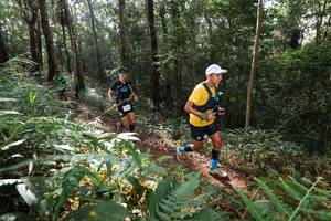 BIB: 
                            <button type="button" onclick="openModal(22544708)" class="btn btn-primary btn-sm float-right btn-popup" data-toggle="modal" data-target=".modal-high-quality">
                        <i class="fas fa-shopping-cart"></i> Add to Cart
                    </button>
                                            <button type="button" onclick="isThisMe(22544708, true)" class="btn btn-success btn-sm float-right btn-popup btn-isme hidden" data-toggle="tooltip" data-placement="bottom" title="นี่คือรูปของคุณใช่ไหม คลิกที่นี่เพื่อเอาเข้าอัลบั้ม">
                        <i class="fas fa-plus"></i> Add to album
                    </button>
                    <button type="button" onclick="isThisMe(22544708, false)" class="btn btn-warning btn-sm float-right btn-popup btn-isnotme hidden">
                        <i class="fas fa-ban"></i> Remove from album
                    </button>