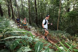 BIB: 
                            <button type="button" onclick="openModal(22561935)" class="btn btn-primary btn-sm float-right btn-popup" data-toggle="modal" data-target=".modal-high-quality">
                        <i class="fas fa-shopping-cart"></i> Add to Cart
                    </button>
                                            <button type="button" onclick="isThisMe(22561935, true)" class="btn btn-success btn-sm float-right btn-popup btn-isme hidden" data-toggle="tooltip" data-placement="bottom" title="นี่คือรูปของคุณใช่ไหม คลิกที่นี่เพื่อเอาเข้าอัลบั้ม">
                        <i class="fas fa-plus"></i> Add to album
                    </button>
                    <button type="button" onclick="isThisMe(22561935, false)" class="btn btn-warning btn-sm float-right btn-popup btn-isnotme hidden">
                        <i class="fas fa-ban"></i> Remove from album
                    </button>