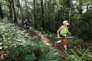 BIB: 
                            <button type="button" onclick="openModal(22546515)" class="btn btn-primary btn-sm float-right btn-popup" data-toggle="modal" data-target=".modal-high-quality">
                        <i class="fas fa-shopping-cart"></i> Add to Cart
                    </button>
                                            <button type="button" onclick="isThisMe(22546515, true)" class="btn btn-success btn-sm float-right btn-popup btn-isme hidden" data-toggle="tooltip" data-placement="bottom" title="นี่คือรูปของคุณใช่ไหม คลิกที่นี่เพื่อเอาเข้าอัลบั้ม">
                        <i class="fas fa-plus"></i> Add to album
                    </button>
                    <button type="button" onclick="isThisMe(22546515, false)" class="btn btn-warning btn-sm float-right btn-popup btn-isnotme hidden">
                        <i class="fas fa-ban"></i> Remove from album
                    </button>