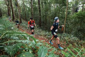 BIB: 
                            <button type="button" onclick="openModal(22584199)" class="btn btn-primary btn-sm float-right btn-popup" data-toggle="modal" data-target=".modal-high-quality">
                        <i class="fas fa-shopping-cart"></i> Add to Cart
                    </button>
                                            <button type="button" onclick="isThisMe(22584199, true)" class="btn btn-success btn-sm float-right btn-popup btn-isme hidden" data-toggle="tooltip" data-placement="bottom" title="นี่คือรูปของคุณใช่ไหม คลิกที่นี่เพื่อเอาเข้าอัลบั้ม">
                        <i class="fas fa-plus"></i> Add to album
                    </button>
                    <button type="button" onclick="isThisMe(22584199, false)" class="btn btn-warning btn-sm float-right btn-popup btn-isnotme hidden">
                        <i class="fas fa-ban"></i> Remove from album
                    </button>