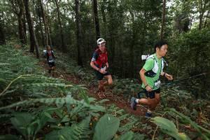 BIB: 
                            <button type="button" onclick="openModal(22541521)" class="btn btn-primary btn-sm float-right btn-popup" data-toggle="modal" data-target=".modal-high-quality">
                        <i class="fas fa-shopping-cart"></i> Add to Cart
                    </button>
                                            <button type="button" onclick="isThisMe(22541521, true)" class="btn btn-success btn-sm float-right btn-popup btn-isme hidden" data-toggle="tooltip" data-placement="bottom" title="นี่คือรูปของคุณใช่ไหม คลิกที่นี่เพื่อเอาเข้าอัลบั้ม">
                        <i class="fas fa-plus"></i> Add to album
                    </button>
                    <button type="button" onclick="isThisMe(22541521, false)" class="btn btn-warning btn-sm float-right btn-popup btn-isnotme hidden">
                        <i class="fas fa-ban"></i> Remove from album
                    </button>