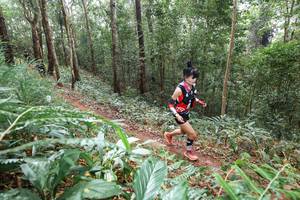 BIB: 2400
                            <button type="button" onclick="openModal(22581794)" class="btn btn-primary btn-sm float-right btn-popup" data-toggle="modal" data-target=".modal-high-quality">
                        <i class="fas fa-shopping-cart"></i> Add to Cart
                    </button>
                                            <button type="button" onclick="isThisMe(22581794, true)" class="btn btn-success btn-sm float-right btn-popup btn-isme hidden" data-toggle="tooltip" data-placement="bottom" title="นี่คือรูปของคุณใช่ไหม คลิกที่นี่เพื่อเอาเข้าอัลบั้ม">
                        <i class="fas fa-plus"></i> Add to album
                    </button>
                    <button type="button" onclick="isThisMe(22581794, false)" class="btn btn-warning btn-sm float-right btn-popup btn-isnotme hidden">
                        <i class="fas fa-ban"></i> Remove from album
                    </button>