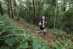 BIB: 
                            <button type="button" onclick="openModal(22580117)" class="btn btn-primary btn-sm float-right btn-popup" data-toggle="modal" data-target=".modal-high-quality">
                        <i class="fas fa-shopping-cart"></i> Add to Cart
                    </button>
                                            <button type="button" onclick="isThisMe(22580117, true)" class="btn btn-success btn-sm float-right btn-popup btn-isme hidden" data-toggle="tooltip" data-placement="bottom" title="นี่คือรูปของคุณใช่ไหม คลิกที่นี่เพื่อเอาเข้าอัลบั้ม">
                        <i class="fas fa-plus"></i> Add to album
                    </button>
                    <button type="button" onclick="isThisMe(22580117, false)" class="btn btn-warning btn-sm float-right btn-popup btn-isnotme hidden">
                        <i class="fas fa-ban"></i> Remove from album
                    </button>