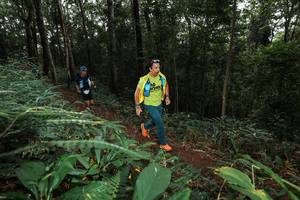 BIB: 2005
                            <button type="button" onclick="openModal(22537590)" class="btn btn-primary btn-sm float-right btn-popup" data-toggle="modal" data-target=".modal-high-quality">
                        <i class="fas fa-shopping-cart"></i> Add to Cart
                    </button>
                                            <button type="button" onclick="isThisMe(22537590, true)" class="btn btn-success btn-sm float-right btn-popup btn-isme hidden" data-toggle="tooltip" data-placement="bottom" title="นี่คือรูปของคุณใช่ไหม คลิกที่นี่เพื่อเอาเข้าอัลบั้ม">
                        <i class="fas fa-plus"></i> Add to album
                    </button>
                    <button type="button" onclick="isThisMe(22537590, false)" class="btn btn-warning btn-sm float-right btn-popup btn-isnotme hidden">
                        <i class="fas fa-ban"></i> Remove from album
                    </button>