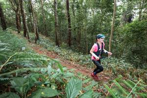 BIB: 
                            <button type="button" onclick="openModal(22568058)" class="btn btn-primary btn-sm float-right btn-popup" data-toggle="modal" data-target=".modal-high-quality">
                        <i class="fas fa-shopping-cart"></i> Add to Cart
                    </button>
                                            <button type="button" onclick="isThisMe(22568058, true)" class="btn btn-success btn-sm float-right btn-popup btn-isme hidden" data-toggle="tooltip" data-placement="bottom" title="นี่คือรูปของคุณใช่ไหม คลิกที่นี่เพื่อเอาเข้าอัลบั้ม">
                        <i class="fas fa-plus"></i> Add to album
                    </button>
                    <button type="button" onclick="isThisMe(22568058, false)" class="btn btn-warning btn-sm float-right btn-popup btn-isnotme hidden">
                        <i class="fas fa-ban"></i> Remove from album
                    </button>