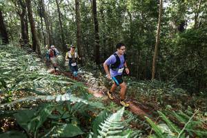 BIB: 
                            <button type="button" onclick="openModal(22546894)" class="btn btn-primary btn-sm float-right btn-popup" data-toggle="modal" data-target=".modal-high-quality">
                        <i class="fas fa-shopping-cart"></i> Add to Cart
                    </button>
                                            <button type="button" onclick="isThisMe(22546894, true)" class="btn btn-success btn-sm float-right btn-popup btn-isme hidden" data-toggle="tooltip" data-placement="bottom" title="นี่คือรูปของคุณใช่ไหม คลิกที่นี่เพื่อเอาเข้าอัลบั้ม">
                        <i class="fas fa-plus"></i> Add to album
                    </button>
                    <button type="button" onclick="isThisMe(22546894, false)" class="btn btn-warning btn-sm float-right btn-popup btn-isnotme hidden">
                        <i class="fas fa-ban"></i> Remove from album
                    </button>