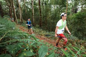 BIB: 
                            <button type="button" onclick="openModal(22570661)" class="btn btn-primary btn-sm float-right btn-popup" data-toggle="modal" data-target=".modal-high-quality">
                        <i class="fas fa-shopping-cart"></i> Add to Cart
                    </button>
                                            <button type="button" onclick="isThisMe(22570661, true)" class="btn btn-success btn-sm float-right btn-popup btn-isme hidden" data-toggle="tooltip" data-placement="bottom" title="นี่คือรูปของคุณใช่ไหม คลิกที่นี่เพื่อเอาเข้าอัลบั้ม">
                        <i class="fas fa-plus"></i> Add to album
                    </button>
                    <button type="button" onclick="isThisMe(22570661, false)" class="btn btn-warning btn-sm float-right btn-popup btn-isnotme hidden">
                        <i class="fas fa-ban"></i> Remove from album
                    </button>