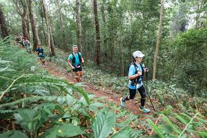 BIB: 
                            <button type="button" onclick="openModal(22574319)" class="btn btn-primary btn-sm float-right btn-popup" data-toggle="modal" data-target=".modal-high-quality">
                        <i class="fas fa-shopping-cart"></i> Add to Cart
                    </button>
                                            <button type="button" onclick="isThisMe(22574319, true)" class="btn btn-success btn-sm float-right btn-popup btn-isme hidden" data-toggle="tooltip" data-placement="bottom" title="นี่คือรูปของคุณใช่ไหม คลิกที่นี่เพื่อเอาเข้าอัลบั้ม">
                        <i class="fas fa-plus"></i> Add to album
                    </button>
                    <button type="button" onclick="isThisMe(22574319, false)" class="btn btn-warning btn-sm float-right btn-popup btn-isnotme hidden">
                        <i class="fas fa-ban"></i> Remove from album
                    </button>