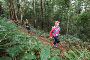 BIB: 
                            <button type="button" onclick="openModal(22581069)" class="btn btn-primary btn-sm float-right btn-popup" data-toggle="modal" data-target=".modal-high-quality">
                        <i class="fas fa-shopping-cart"></i> Add to Cart
                    </button>
                                            <button type="button" onclick="isThisMe(22581069, true)" class="btn btn-success btn-sm float-right btn-popup btn-isme hidden" data-toggle="tooltip" data-placement="bottom" title="นี่คือรูปของคุณใช่ไหม คลิกที่นี่เพื่อเอาเข้าอัลบั้ม">
                        <i class="fas fa-plus"></i> Add to album
                    </button>
                    <button type="button" onclick="isThisMe(22581069, false)" class="btn btn-warning btn-sm float-right btn-popup btn-isnotme hidden">
                        <i class="fas fa-ban"></i> Remove from album
                    </button>