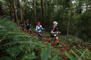 BIB: 
                            <button type="button" onclick="openModal(22582842)" class="btn btn-primary btn-sm float-right btn-popup" data-toggle="modal" data-target=".modal-high-quality">
                        <i class="fas fa-shopping-cart"></i> Add to Cart
                    </button>
                                            <button type="button" onclick="isThisMe(22582842, true)" class="btn btn-success btn-sm float-right btn-popup btn-isme hidden" data-toggle="tooltip" data-placement="bottom" title="นี่คือรูปของคุณใช่ไหม คลิกที่นี่เพื่อเอาเข้าอัลบั้ม">
                        <i class="fas fa-plus"></i> Add to album
                    </button>
                    <button type="button" onclick="isThisMe(22582842, false)" class="btn btn-warning btn-sm float-right btn-popup btn-isnotme hidden">
                        <i class="fas fa-ban"></i> Remove from album
                    </button>