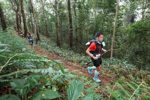 BIB: 
                            <button type="button" onclick="openModal(22574953)" class="btn btn-primary btn-sm float-right btn-popup" data-toggle="modal" data-target=".modal-high-quality">
                        <i class="fas fa-shopping-cart"></i> Add to Cart
                    </button>
                                            <button type="button" onclick="isThisMe(22574953, true)" class="btn btn-success btn-sm float-right btn-popup btn-isme hidden" data-toggle="tooltip" data-placement="bottom" title="นี่คือรูปของคุณใช่ไหม คลิกที่นี่เพื่อเอาเข้าอัลบั้ม">
                        <i class="fas fa-plus"></i> Add to album
                    </button>
                    <button type="button" onclick="isThisMe(22574953, false)" class="btn btn-warning btn-sm float-right btn-popup btn-isnotme hidden">
                        <i class="fas fa-ban"></i> Remove from album
                    </button>