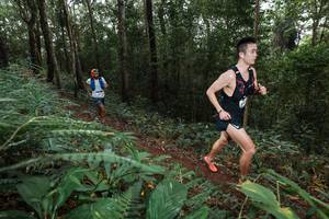 BIB: 
                            <button type="button" onclick="openModal(22542720)" class="btn btn-primary btn-sm float-right btn-popup" data-toggle="modal" data-target=".modal-high-quality">
                        <i class="fas fa-shopping-cart"></i> Add to Cart
                    </button>
                                            <button type="button" onclick="isThisMe(22542720, true)" class="btn btn-success btn-sm float-right btn-popup btn-isme hidden" data-toggle="tooltip" data-placement="bottom" title="นี่คือรูปของคุณใช่ไหม คลิกที่นี่เพื่อเอาเข้าอัลบั้ม">
                        <i class="fas fa-plus"></i> Add to album
                    </button>
                    <button type="button" onclick="isThisMe(22542720, false)" class="btn btn-warning btn-sm float-right btn-popup btn-isnotme hidden">
                        <i class="fas fa-ban"></i> Remove from album
                    </button>