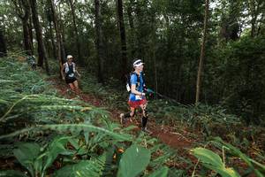 BIB: 
                            <button type="button" onclick="openModal(22537439)" class="btn btn-primary btn-sm float-right btn-popup" data-toggle="modal" data-target=".modal-high-quality">
                        <i class="fas fa-shopping-cart"></i> Add to Cart
                    </button>
                                            <button type="button" onclick="isThisMe(22537439, true)" class="btn btn-success btn-sm float-right btn-popup btn-isme hidden" data-toggle="tooltip" data-placement="bottom" title="นี่คือรูปของคุณใช่ไหม คลิกที่นี่เพื่อเอาเข้าอัลบั้ม">
                        <i class="fas fa-plus"></i> Add to album
                    </button>
                    <button type="button" onclick="isThisMe(22537439, false)" class="btn btn-warning btn-sm float-right btn-popup btn-isnotme hidden">
                        <i class="fas fa-ban"></i> Remove from album
                    </button>