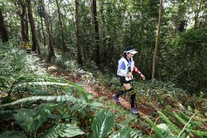 BIB: 
                            <button type="button" onclick="openModal(22561270)" class="btn btn-primary btn-sm float-right btn-popup" data-toggle="modal" data-target=".modal-high-quality">
                        <i class="fas fa-shopping-cart"></i> Add to Cart
                    </button>
                                            <button type="button" onclick="isThisMe(22561270, true)" class="btn btn-success btn-sm float-right btn-popup btn-isme hidden" data-toggle="tooltip" data-placement="bottom" title="นี่คือรูปของคุณใช่ไหม คลิกที่นี่เพื่อเอาเข้าอัลบั้ม">
                        <i class="fas fa-plus"></i> Add to album
                    </button>
                    <button type="button" onclick="isThisMe(22561270, false)" class="btn btn-warning btn-sm float-right btn-popup btn-isnotme hidden">
                        <i class="fas fa-ban"></i> Remove from album
                    </button>