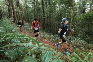 BIB: 
                            <button type="button" onclick="openModal(22584205)" class="btn btn-primary btn-sm float-right btn-popup" data-toggle="modal" data-target=".modal-high-quality">
                        <i class="fas fa-shopping-cart"></i> Add to Cart
                    </button>
                                            <button type="button" onclick="isThisMe(22584205, true)" class="btn btn-success btn-sm float-right btn-popup btn-isme hidden" data-toggle="tooltip" data-placement="bottom" title="นี่คือรูปของคุณใช่ไหม คลิกที่นี่เพื่อเอาเข้าอัลบั้ม">
                        <i class="fas fa-plus"></i> Add to album
                    </button>
                    <button type="button" onclick="isThisMe(22584205, false)" class="btn btn-warning btn-sm float-right btn-popup btn-isnotme hidden">
                        <i class="fas fa-ban"></i> Remove from album
                    </button>