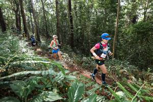 BIB: 
                            <button type="button" onclick="openModal(22562895)" class="btn btn-primary btn-sm float-right btn-popup" data-toggle="modal" data-target=".modal-high-quality">
                        <i class="fas fa-shopping-cart"></i> Add to Cart
                    </button>
                                            <button type="button" onclick="isThisMe(22562895, true)" class="btn btn-success btn-sm float-right btn-popup btn-isme hidden" data-toggle="tooltip" data-placement="bottom" title="นี่คือรูปของคุณใช่ไหม คลิกที่นี่เพื่อเอาเข้าอัลบั้ม">
                        <i class="fas fa-plus"></i> Add to album
                    </button>
                    <button type="button" onclick="isThisMe(22562895, false)" class="btn btn-warning btn-sm float-right btn-popup btn-isnotme hidden">
                        <i class="fas fa-ban"></i> Remove from album
                    </button>