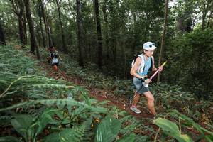 BIB: 
                            <button type="button" onclick="openModal(22542491)" class="btn btn-primary btn-sm float-right btn-popup" data-toggle="modal" data-target=".modal-high-quality">
                        <i class="fas fa-shopping-cart"></i> Add to Cart
                    </button>
                                            <button type="button" onclick="isThisMe(22542491, true)" class="btn btn-success btn-sm float-right btn-popup btn-isme hidden" data-toggle="tooltip" data-placement="bottom" title="นี่คือรูปของคุณใช่ไหม คลิกที่นี่เพื่อเอาเข้าอัลบั้ม">
                        <i class="fas fa-plus"></i> Add to album
                    </button>
                    <button type="button" onclick="isThisMe(22542491, false)" class="btn btn-warning btn-sm float-right btn-popup btn-isnotme hidden">
                        <i class="fas fa-ban"></i> Remove from album
                    </button>