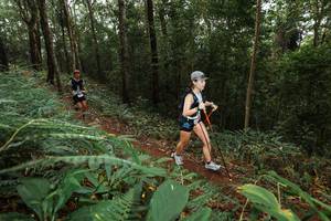 BIB: 
                            <button type="button" onclick="openModal(22533477)" class="btn btn-primary btn-sm float-right btn-popup" data-toggle="modal" data-target=".modal-high-quality">
                        <i class="fas fa-shopping-cart"></i> Add to Cart
                    </button>
                                            <button type="button" onclick="isThisMe(22533477, true)" class="btn btn-success btn-sm float-right btn-popup btn-isme hidden" data-toggle="tooltip" data-placement="bottom" title="นี่คือรูปของคุณใช่ไหม คลิกที่นี่เพื่อเอาเข้าอัลบั้ม">
                        <i class="fas fa-plus"></i> Add to album
                    </button>
                    <button type="button" onclick="isThisMe(22533477, false)" class="btn btn-warning btn-sm float-right btn-popup btn-isnotme hidden">
                        <i class="fas fa-ban"></i> Remove from album
                    </button>