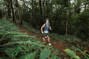 BIB: 
                            <button type="button" onclick="openModal(22537252)" class="btn btn-primary btn-sm float-right btn-popup" data-toggle="modal" data-target=".modal-high-quality">
                        <i class="fas fa-shopping-cart"></i> Add to Cart
                    </button>
                                            <button type="button" onclick="isThisMe(22537252, true)" class="btn btn-success btn-sm float-right btn-popup btn-isme hidden" data-toggle="tooltip" data-placement="bottom" title="นี่คือรูปของคุณใช่ไหม คลิกที่นี่เพื่อเอาเข้าอัลบั้ม">
                        <i class="fas fa-plus"></i> Add to album
                    </button>
                    <button type="button" onclick="isThisMe(22537252, false)" class="btn btn-warning btn-sm float-right btn-popup btn-isnotme hidden">
                        <i class="fas fa-ban"></i> Remove from album
                    </button>