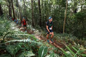 BIB: 
                            <button type="button" onclick="openModal(22547333)" class="btn btn-primary btn-sm float-right btn-popup" data-toggle="modal" data-target=".modal-high-quality">
                        <i class="fas fa-shopping-cart"></i> Add to Cart
                    </button>
                                            <button type="button" onclick="isThisMe(22547333, true)" class="btn btn-success btn-sm float-right btn-popup btn-isme hidden" data-toggle="tooltip" data-placement="bottom" title="นี่คือรูปของคุณใช่ไหม คลิกที่นี่เพื่อเอาเข้าอัลบั้ม">
                        <i class="fas fa-plus"></i> Add to album
                    </button>
                    <button type="button" onclick="isThisMe(22547333, false)" class="btn btn-warning btn-sm float-right btn-popup btn-isnotme hidden">
                        <i class="fas fa-ban"></i> Remove from album
                    </button>