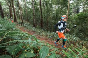 BIB: 
                            <button type="button" onclick="openModal(22575343)" class="btn btn-primary btn-sm float-right btn-popup" data-toggle="modal" data-target=".modal-high-quality">
                        <i class="fas fa-shopping-cart"></i> Add to Cart
                    </button>
                                            <button type="button" onclick="isThisMe(22575343, true)" class="btn btn-success btn-sm float-right btn-popup btn-isme hidden" data-toggle="tooltip" data-placement="bottom" title="นี่คือรูปของคุณใช่ไหม คลิกที่นี่เพื่อเอาเข้าอัลบั้ม">
                        <i class="fas fa-plus"></i> Add to album
                    </button>
                    <button type="button" onclick="isThisMe(22575343, false)" class="btn btn-warning btn-sm float-right btn-popup btn-isnotme hidden">
                        <i class="fas fa-ban"></i> Remove from album
                    </button>