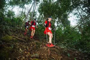 BIB: 
                            <button type="button" onclick="openModal(22556343)" class="btn btn-primary btn-sm float-right btn-popup" data-toggle="modal" data-target=".modal-high-quality">
                        <i class="fas fa-shopping-cart"></i> Add to Cart
                    </button>
                                            <button type="button" onclick="isThisMe(22556343, true)" class="btn btn-success btn-sm float-right btn-popup btn-isme hidden" data-toggle="tooltip" data-placement="bottom" title="นี่คือรูปของคุณใช่ไหม คลิกที่นี่เพื่อเอาเข้าอัลบั้ม">
                        <i class="fas fa-plus"></i> Add to album
                    </button>
                    <button type="button" onclick="isThisMe(22556343, false)" class="btn btn-warning btn-sm float-right btn-popup btn-isnotme hidden">
                        <i class="fas fa-ban"></i> Remove from album
                    </button>